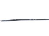 Rear door glass trim molding