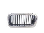 Kühlergrill