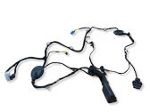 Front door wiring loom