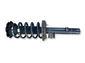 Front shock absorber with coil spring