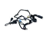 Front door wiring loom