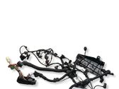 Engine installation wiring loom