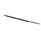 Front door glass trim molding