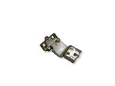 Rear door lower hinge
