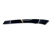 Windshield trim