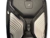 Luz del asiento delantero