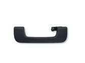 Rear interior roof grab handle
