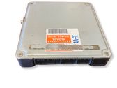 Engine control unit/module ECU
