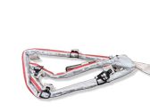 Roof airbag