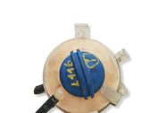Coolant expansion tank/reservoir