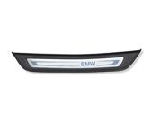 Rear sill trim cover