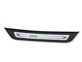Rear sill trim cover