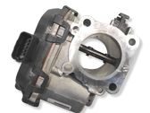 Throttle body valve