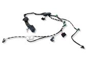 Rear door wiring loom