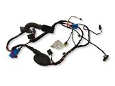 Front door wiring loom