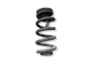 Rear coil spring