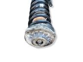 Front shock absorber/damper
