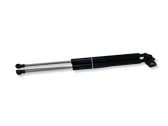 Tailgate/trunk strut/damper
