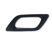 Other rear door trim element