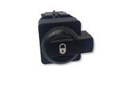 Central locking switch button