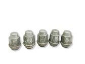 Nuts/bolts