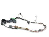 Rear door wiring loom