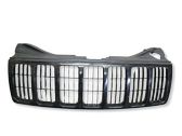 Front bumper upper radiator grill
