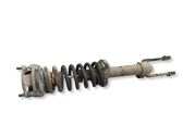Front shock absorber/damper