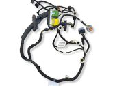 Front door wiring loom