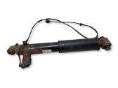 Rear shock absorber/damper