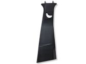 (B) pillar trim (top)