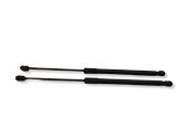 Tailgate/trunk strut/damper