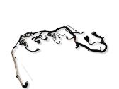 Engine installation wiring loom