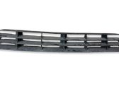 Front bumper lower grill