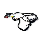 Front door wiring loom