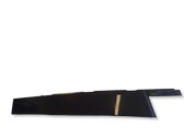 Rear door glass trim molding