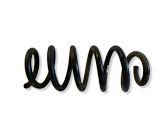 Front coil spring