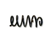 Front coil spring