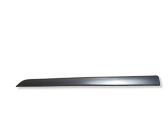 Front door trim (molding)
