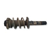 Amortiguador delantero con muelle espiral