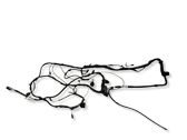 Tailgate/trunk wiring harness