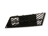 Front bumper lower grill