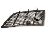 Ziergitter Motorhaube