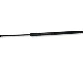 Tailgate/trunk strut/damper