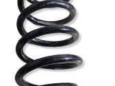 Rear coil spring