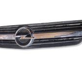 Kühlergrill