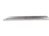 Front sill trim cover