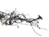 Other wiring loom