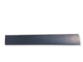 Sliding door trim (molding)