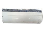 Rear door trim (molding)